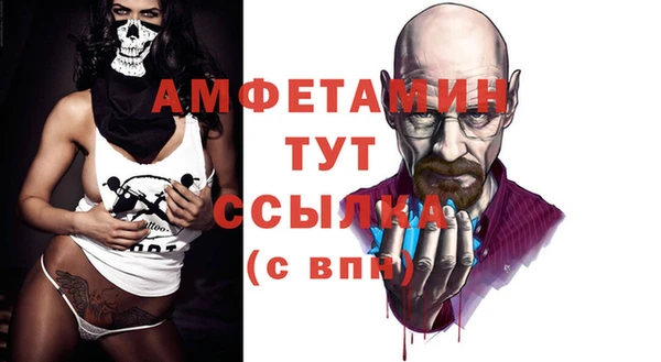 ECSTASY Магас