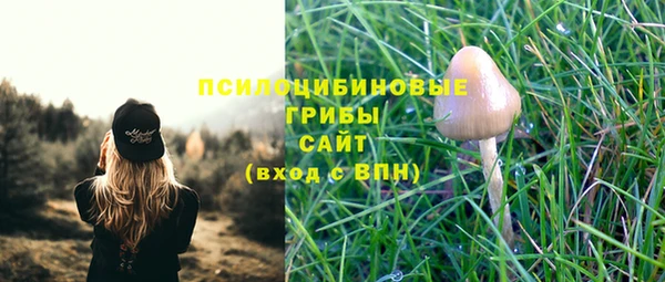 Альфа ПВП Богданович