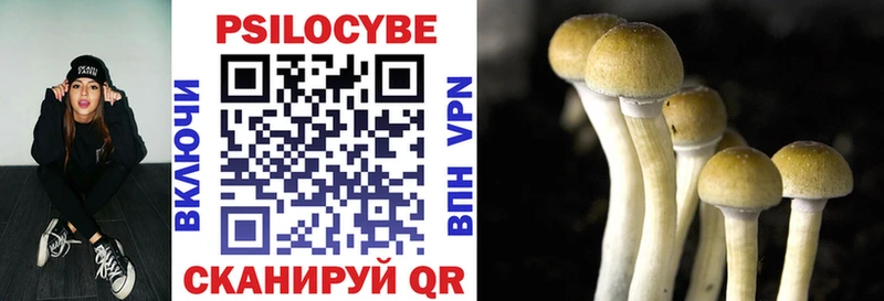 Псилоцибиновые грибы Psilocybe  Якутск 